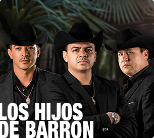 LOS HIJOS DE BARRON