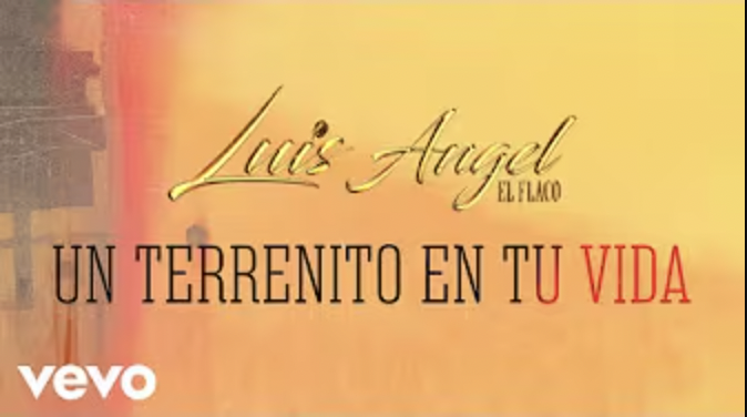 foto UN TERRENITO EN TU VIDA